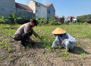 Aiptu Nur Samsi Dukung Ketahanan Pangan Sambangi Petani Kangkung