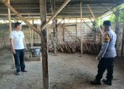 Aipda Suhermanto Dampingi Peternak Bebek di Desa Banjarsari, Wujud Nyata Polisi Cinta Petani Demi Swasembada Pangan