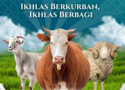 Wujudkan Ketakwaan dan Kepedulian Sosial, LDII Gresik Kurban 284 sapi dan 209 kambing