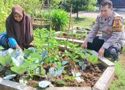 Aiptu Sulaiman Tunjukkan Cinta Petani Dukung Program Asta Cita Presiden Prabowo Kunjungi Lahan Tanaman Kubis