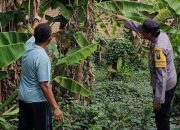 Bhabinkamtibmas Desa Sadang Taman Tinjau Perkebunan Pisang Warga Wujudkan Ketahanan Pangan