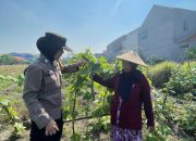 Brigadir Dwi Retno Tinjau Perkebunan Oyong Milik Warga Wujudkan Ketahanan Pangan