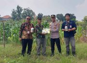 Kapolsek Taman AKP Inggit Prassetyanto Tunjukkan Kepedulian, Bagikan Pupuk dan benih Jagung kepada Petani
