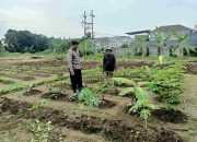 Bhabinkamtibmas Wedi Dukung Swasembada Pangan Lewat Semangat ke Petani Singkong