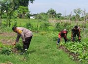 Polisi Cinta Petani, Aiptu Wasis Giatkan P2L untuk Dukung Ketahanan Nasional di Desa Banjarkemantren