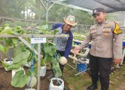 Wujudkan Ketahanan Nasional, Bhabinkamtibmas Bangah Dukung Petani Hidroponik Demi Swasembada Pangan