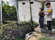 Polisi Cinta Petani: Bhabinkamtibmas Polsek Taman Aktif Sambangi Petani Wujudkan Ketahanan Pangan Desa Binaan