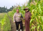 Dukung Program Asta Cita Aiptu Purwanto Tinjau Ketahanan Pangan di Desa Betro