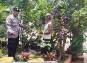 Dukung Program Asta Cita Aiptu Budi Santoso Tinjau Lahan Tanaman Jeruk Nipis