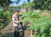 Sambang Desa, Polisi Cinta Petani, Bhabinkamtibmas Kedungturi Taman Dukung Ketahanan Pangan Nasional