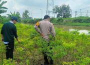 Giat Tanam Cabai, Bhabinkamtibmas Polsek Tarik Polresta Sidoarjo Ajak Warga Tak Biarkan Lahan Kosong