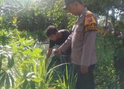 Manfaatkan Lahan Kosong, Warga Tanam Serai Polsek Sedati Beri Dukungan