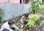 Polisi Cinta Petani Brigadir Bayu Rizky Sambangi Lahan Tanaman Pandan Milik Warga, Dukung Ketahanan Pangan Nasional