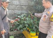 Dukung Ketahanan Nasional Aiptu Agus Adiyanto Tinjau Lahan Tanaman Jambu Wujudkan Swasembada Pangan