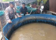 Dukung Ketahanan Nasional, Bhabinkamtibmas Ketajen Kunjungi Budidaya Ikan Lele