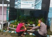 Dukung Ketahanan Nasional Aiptu Sulaiman Kunjungi Budidaya Tanaman Pandan