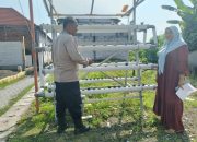 Bhabinkamtibmas Polsek Candi Gandeng Warga, Sulap Lahan Pekarangan Rumah Jadi Lumbung Pangan Hidroponik