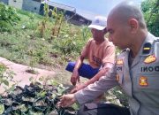 Polisi Cinta Petani Aipda Doni Iriano Kunjungi Lahan Sayuran Dukung Swasembada Pangan Nasional