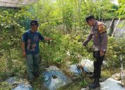 Sambut Hari Bhayangkara ke-79, Bhabinkamtibmas Desa Sidokepung Dukung Program Ketahanan Pangan Lewat P2B
