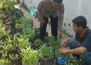 Ipda Masruri Kembangkan Program ‘Tanam Kangkung serentak’ di Desa Pranti