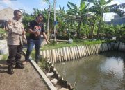 Wujud Ketahanan Nasional, Bhabinkamtibmas Tebel Tinjau Lahan Ikan Nila Dukung Swasembada Pangan