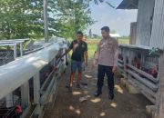 Bhabinkamtibmas Polsek Candi Bersama Warga Bangun Usaha Ternak Ayam Skala Rumah Tangga untuk Ciptakan Ketahanan Pangan