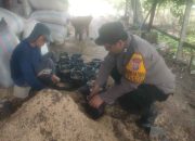 Dukung Swasembada Pangan, Bhabinkamtibmas Polsek Taman Sambangi Petani Desa Kletek