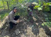 Brigadir Dwi Retno Putri Bersama Warga Bangun Usaha Budidaya Singkong Skala Rumah Tangga untuk Ciptakan Ketahanan Pangan