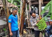 Brigadir Bayu Rizky Dukung Program Polisi Cinta Petani Monitoring Lahan Tanaman Pisang