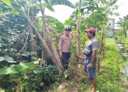 Polisi Cinta Petani: Bhabinkamtibmas Polsek Taman Blusukan ke Perkebunan Warga Dukung Ketahanan Pangan Nasional