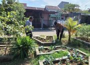 Wujudkan Asta Cita Aiptu Sulaiman Motivasi Petani Pokcoy Bangkitkan Ekonomi Desa Buncitan