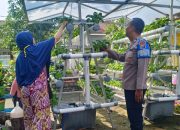 Bhabinkamtibmas Desa Sumorame bersama warga kembangkan tanaman Hidroponik