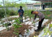 Lewat Pekarangan Lestari, Bhabinkamtibmas Polsek Buduran Bangun Kemandirian Pangan Warga Desa Wadungasih