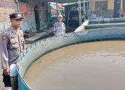 Polresta Sidoarjo Aktif Dukung Ketahanan Pangan, Anggota Polsek Tarik Rawat Kolam Ikan Lele