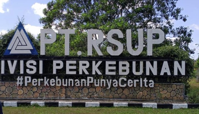 Kejati Riau Tegaskan 237 Ha Lahan PT RSUP Masuk Kawasan Hutan