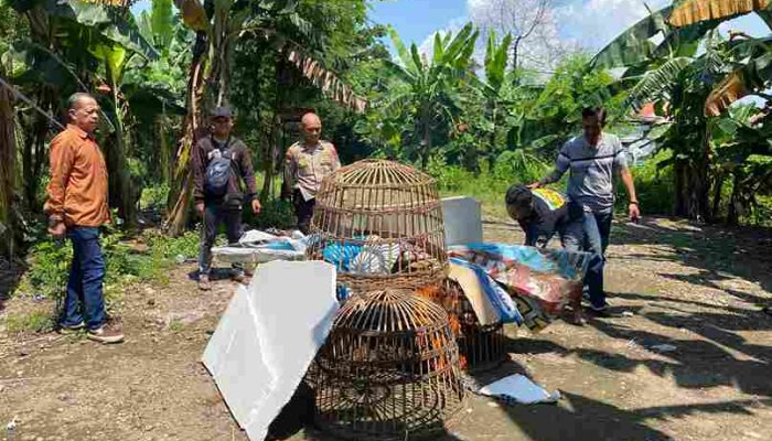 Dapatkan Laporan Masyarakat, Polsek Sedati Datangi Tempat Perjudian Sabung Ayam