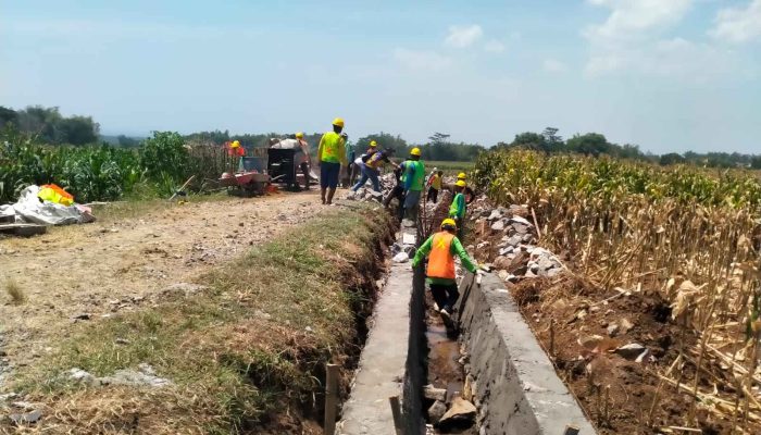 Program P3TGAI di kelurahan Panekan Diharapkan Bisa Menunjang Ekonomi Dari Sektor Pertanian