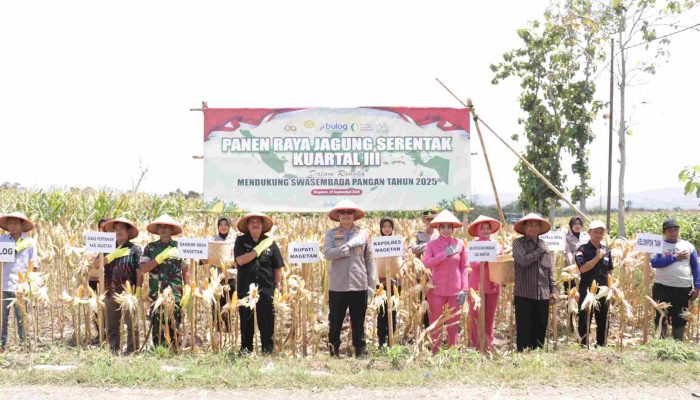 Kapolres Magetan Bersama Petani Lembeyan Panen Raya Jagung Kuartal III Dukung Swasembada Pangan 2025