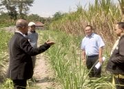Jaminan Dilelang Sepihak, BPR Bhapertim Persada Cabang Kepung Digugat