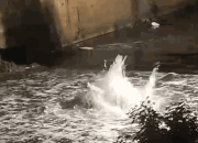 Fenomena Geologis Alami Semburan Gas Alam Muncul di Sungai Rungkut Tengah