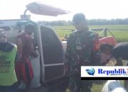 Babinsa Duduksampeyan Dampingi Petani Desa Sumari Panen Padi