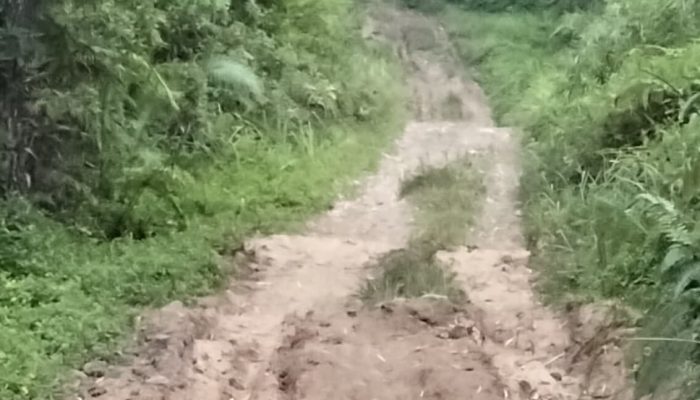 Jalan Kabupaten Rusak Parah, Warga Tanjungsari Curugkembar Merasa Terabaikan