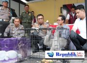 Polresta Sidoarjo Ungkap Perdagangan Ilegal Satwa Lindung Jaringan Internasional