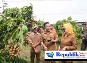 Wabup Sidoarjo Apresiasi Wisata Petik Buah Klengkeng, Dorong Pemanfaatan Lahan Tidur