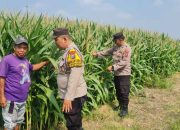 Polisi Sidoarjo Masif Dampingi Petani, Dukung Swasembada Pangan