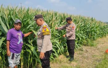 Polisi Sidoarjo Masif Dampingi Petani, Dukung Swasembada Pangan
