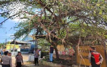 Respon Laporan 110, Polres Lampung Utara Gerak Cepat Tangani Pohon Rawan Tumbang di Depan Pasar Candimas