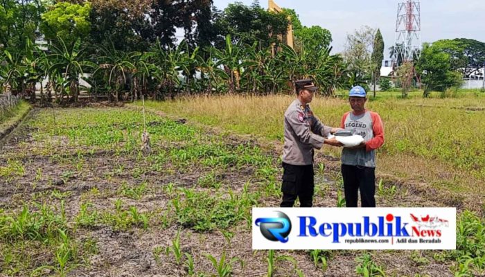 Dukung Ketahanan Pangan, Polsek Magersari Polres Mojokerto Kota Serahkan Bantuan Pupuk Jagung kepada Petani