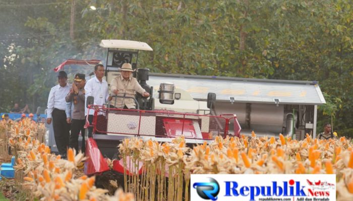 Presiden Prabowo dan Kapolri Panen Raya Jagung Nasional di Tuban Perkuat Ketahanan Pangan