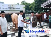 Foto : Polda Jatim menyalurkan ratusan hewan ternak .